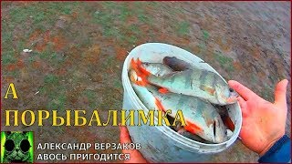 Ловля окуня на живца в ноябре
