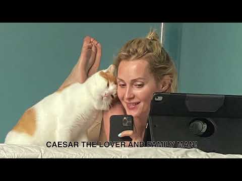 10/19/24 My little love 💔 Caesar