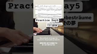 Download lagu Liszt / Liebesträume リスト 愛の夢 #piano #pianopractice #classicalpiano #ٰアノ練習 #ピアノ練習記録#クラシックピアノ #liszt mp3 Download lagu Liszt / Liebesträume リスト 愛の夢 #piano #pianopractice #classicalpiano #ٰアノ練習 #ピアノ練習記録#クラシックピアノ #liszt mp3