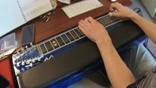 Daryl Singletary - Tiger By The Tail (Pedal Steel Licks)