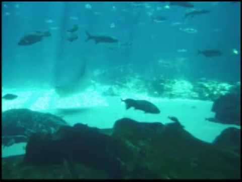 GLIDE-100PERCENTREALWORDS.BLOGSPOT.COM