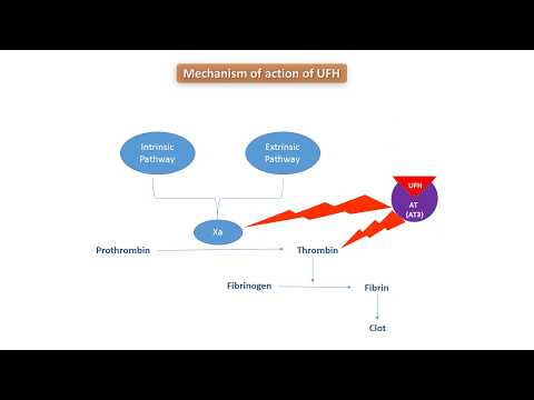 ECMO Basics 4 Anticoag