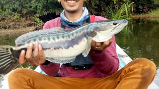 preview picture of video 'Spesial Hunting (SH) - Mancing Trip Toman dan Kerandang Ketapang Kal-Bar'