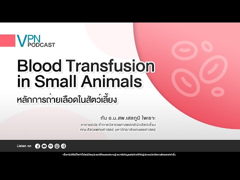 VPN Podcast EP.56 - หลักการถ่ายเลือดในสัตว์เลี้ยง