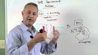 Immunology lecture 15 - Type III Hypersensitivity Reactions 2/6