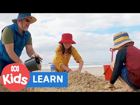 How To Build A Sandcastle | Go Wild For Maths Full Episode | ABC Kids