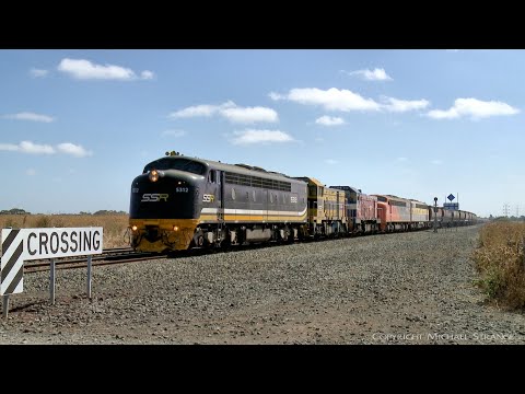 SSR Broad Gauge Grain Train With S312 T363 P16 S302 S317 (25/2/2022) - PoathTV Australian Railways