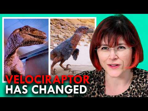 Why Did The Velociraptor Go From Looking Like That To This?