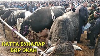 24 марта 2019 г. Махсус Мол бозор нархлари