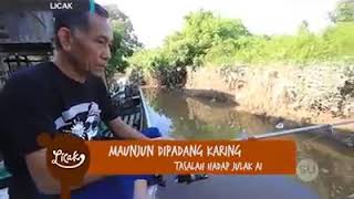 Download lagu Julak atuy mp3