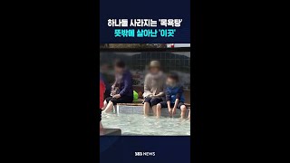 목욕탕은 하나둘 사라지는데..뜻밖에 살아난 '이곳' #shorts