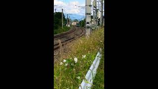 e127系 快速松本行