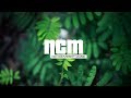 Dan Lebowitz Hilltop NoCopyrightMusic Country And Folk Video 268
