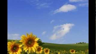 Martin Nievera - Ikaw Ang Lahat Sa Akin Cover