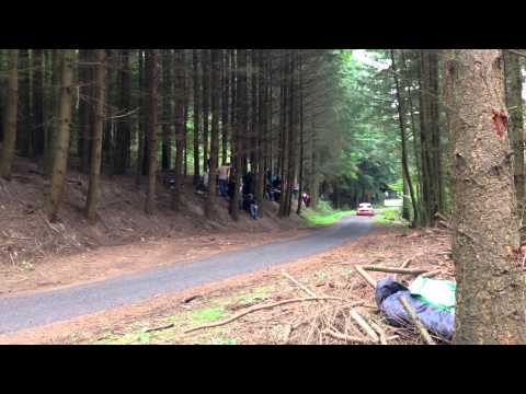 RALLY DE FRANCE ALSACE 2013 - SS6 - CRASH Oleksii KIKIRESHKO