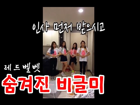 레드벨벳 (Red Velvet) -  숨겨진 비글미