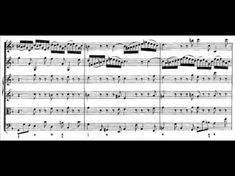 J.S. Bach - BWV 1043 - (2) Largo ma non tanto d-moll / D minor