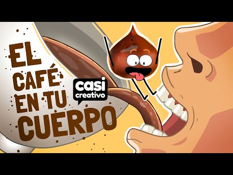 Dentro de tu cuerpo cuando bebes café | Casi Creativo
