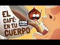 Dentro De Tu Cuerpo Cuando Bebes Café Casi Creativo