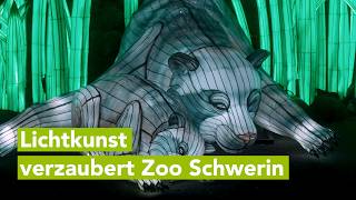 Wilde Lichter im Zoo Schwerin: Chinesische Lichtkunst lässt Tiere und Pflanzen l