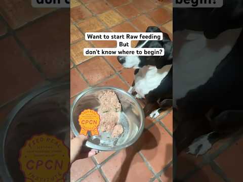 FREE raw feeding starter guide | Dog nutrition basics
