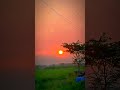 Sunrise morning 🌅status #short #morning #sunrise #viralshort