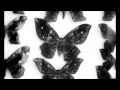 Oliver Tank - Last Night I Heard Everything In ...