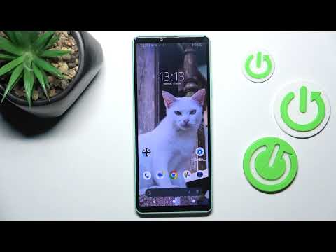 How to Reset Camera on Sony Xperia 1 VI