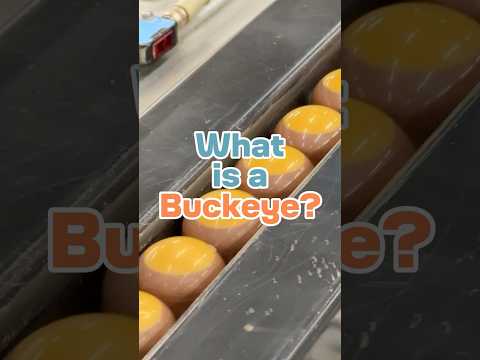 🌳🌰➡️🥜🍫From toxic tree to tasty treat! The history and creation of the iconic #buckeye. #ohioeats