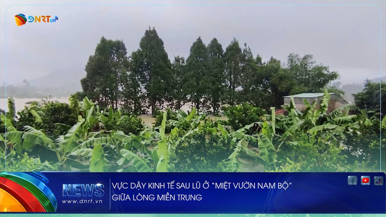 VỰC DẬY KINH TẾ SAU LŨ Ở “MIỆT VƯỜN NAM BỘ” GIỮA LÒNG MIỀN TRUNG