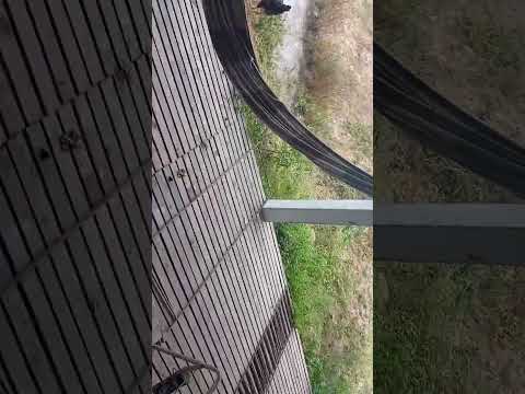 Granja de porco ibirajuba Pernambuco