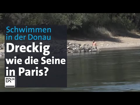 Wie die Seine, so die Donau? Getrübter Badespaß in Bayern | Abendschau | BR24