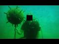 Horrors Of The Deep Ocean