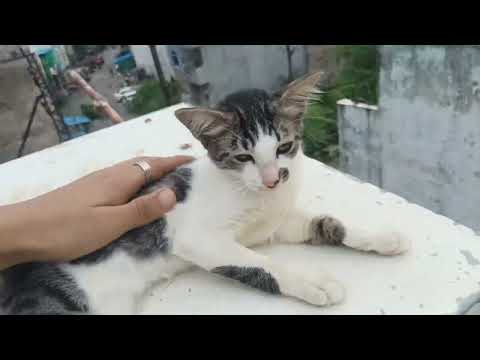 Aaj Hamare Ghar Ka Kaam Chalu Ho Gya Hai