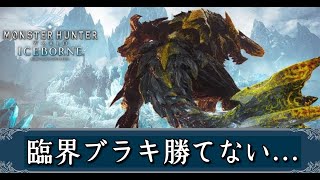 【モンハンアイボン】幾度となく臨界ブラキに挑戦するのだが…
