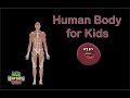 Human Body for Kids/Anatomy Song for kids/Human Body Systems