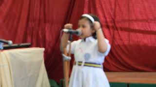 Little Woodians School Video