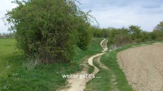 preview picture of video 'Der Weg am Galgenberg - GC1AB5Y'