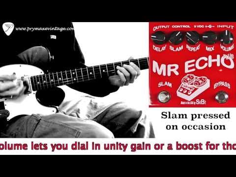 Mr Echo Plus by SIB Electronics | RockBoard