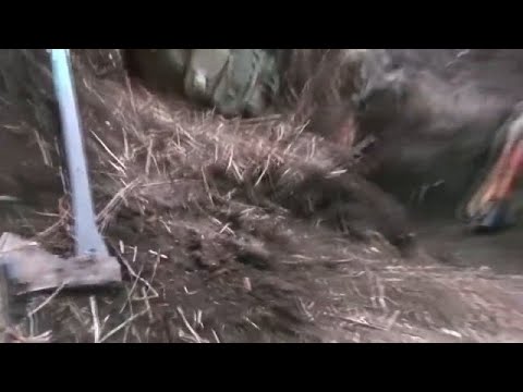 Что происходит на линии соприкосновения в Донбассе