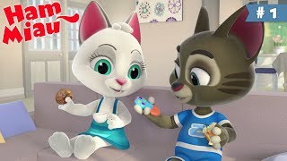 Ham Miau 🐶 Apasa butonul 🐱 Desene animate cu catei si pisici