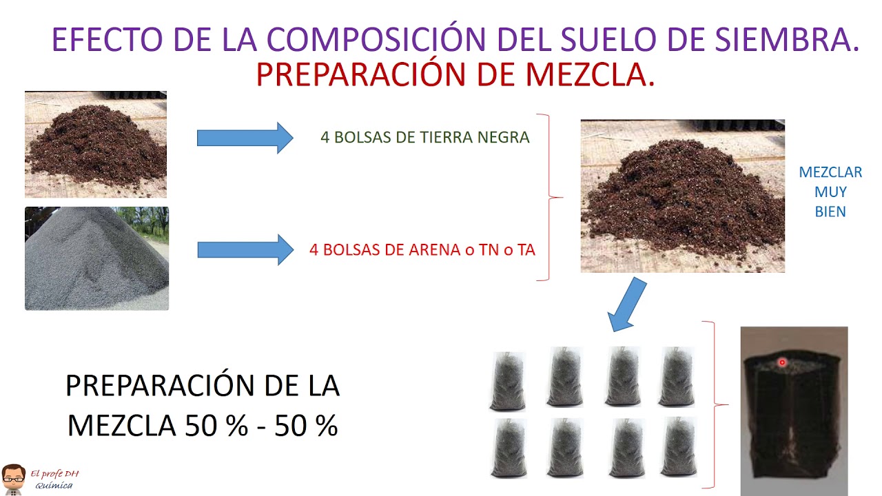 El método científico 2. Ejercicios de aplicación