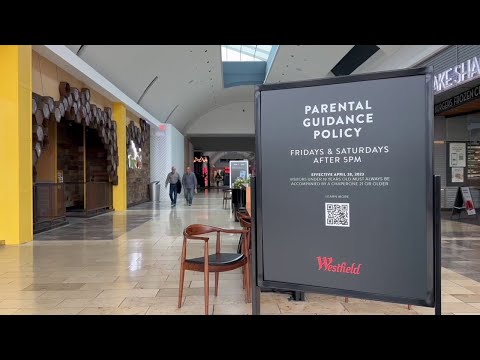 NJ Paramus Mall Set To Introduce Chaperone Police