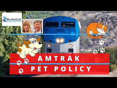 Amtrak Pet Policy - Can you take your dog or cat?  What are the rules?