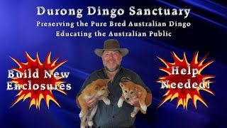 preview picture of video 'Durong Dingo Sanctuary Donations'