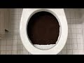Will It Flush Coffee