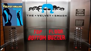 The Velvet Smash ~ Top Floor Bottom Buzzer #VelvetSmash #TopFloorBottomBuzzer #smashing  #morphine