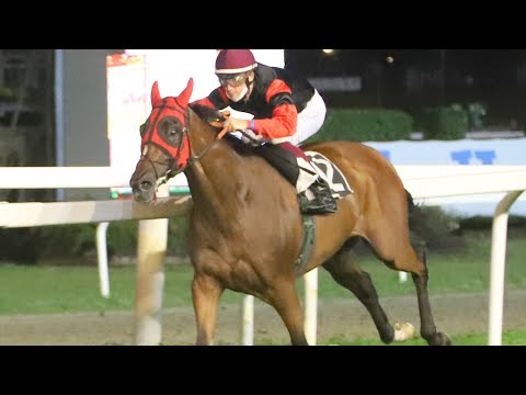 Città di Varese 2020: storico (Di) Tocco di classe