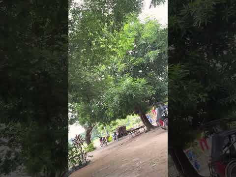 Life in province #viralvideo #viral #shorts #shortsfeed