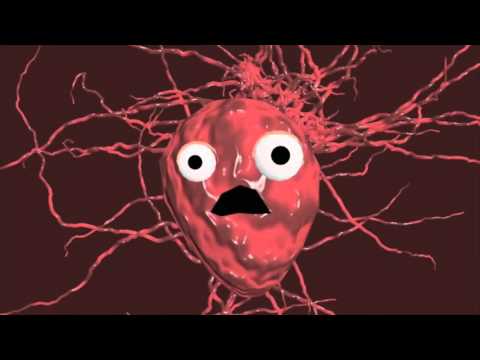 A Breathtaking Journey: one oxygen atom's journey through the body